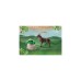 PLAYMOBIL 71050 Wiltopia Steinbock, Konstruktionsspielzeug