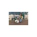 PLAYMOBIL 71082 Dragons: The Nine Realms - Plowhorn & D'Angelo, Konstruktionsspielzeug(Mit Kristallfels zum Sprengen)