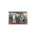 PLAYMOBIL 71083 Dragons: The Nine Realms - Feathers & Alex, Konstruktionsspielzeug