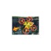 PLAYMOBIL 71084 Dragons: The Nine Realms - Icaris Lab, Konstruktionsspielzeug