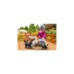 PLAYMOBIL 71172 specialPLUS Oma mit Katzen, Konstruktionsspielzeug