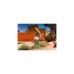 PLAYMOBIL 71200 PLAYMO-Friends Kämpferin, Konstruktionsspielzeug