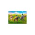 PLAYMOBIL 71239 Picknickausflug mit Pferden, Konstruktionsspielzeug