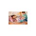 PLAYMOBIL 71246 Picknick mit Pegasuskutsche, Konstruktionsspielzeug
