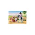 PLAYMOBIL 71259 Country Starter Pack Pferdepflege, Konstruktionsspielzeug