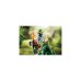 PLAYMOBIL 71260 Dino Rise Spinosaurus, Konstruktionsspielzeug