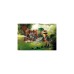 PLAYMOBIL 71265 Dino Rise Spinosaurus-Baby, Konstruktionsspielzeug