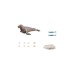 PLAYMOBIL 71288 Wiltopia Seelöwe, Konstruktionsspielzeug