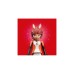 PLAYMOBIL 71339 Miraculous: Rena Rouge, Konstruktionsspielzeug