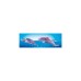 PLAYMOBIL 71379 Magic Starter Pack Meerjungfrauen, Konstruktionsspielzeug