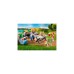 PLAYMOBIL 71427 Family Fun Gemeinsames Grillen, Konstruktionsspielzeug