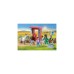 PLAYMOBIL 71471 Country Starter Pack Tierarzteinsatz bei den Eseln, Konstruktionsspielzeug