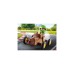 PLAYMOBIL 71480 specialPLUS Kind mit Kart, Konstruktionsspielzeug