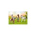 PLAYMOBIL 71494 Horses of Waterfall Reitstall, Konstruktionsspielzeug