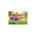 PLAYMOBIL 71496 Horses of Waterfall Ponykutsche, Konstruktionsspielzeug