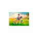 PLAYMOBIL 71498 Horses of Waterfall Kind mit Pony und Fohlen, Konstruktionsspielzeug