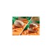 PLAYMOBIL 71526 Dinos Stegosaurusnest mit Eierdieb, Konstruktionsspielzeug