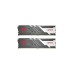Patriot DIMM 32 GB DDR5-6200 (2x 16 GB) Dual-Kit, Arbeitsspeicher(schwarz/weiß, PVVR532G620C40K, Viper Venom RGB, INTEL XMP)