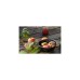 Petromax Emaille-Schalen px-bowl-s 600ml, 2 Stück, Schüssel(schwarz, Ø 14cm)