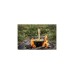 Petromax Holzspachtel mit Branding, Wender(braun)