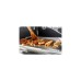 Petromax Plancha Grillplatte für Gastisch(edelstahl)