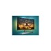 Philips 329M1RV/00, Gaming-Monitor(80 cm (32 Zoll), schwarz, UltraHD/4K, AMD Free-Sync, HDMI 2.1, 120Hz Panel)