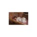 Philips Avent Connected Videophone SCD921/26, Babyphone(weiß)