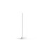 Philips Gradient Signe Tischleuchte, LED-Leuchte(weiß)
