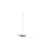 Philips Gradient Signe Tischleuchte, LED-Leuchte(weiß/holz, Oak)