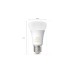 Philips Hue E27 Viererpack 4x570lm 60W, LED-Lampe(Viererpack, ersetzt 60 Watt)
