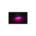 Philips Hue Perifo Basis-Set für die Decke (3 Pendelleuchten)(schwarz)