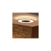 Philips Hue White Ambiance Deckenleuchte Being, LED-Leuchte(schwarz, inkl. Dimmschalter)