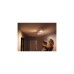 Philips Hue White & Color Ambiance Centris 2er-Deckenspot, LED-Leuchte(weiß)