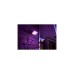 Philips Hue White & Color Ambiance Discover Flutlicht, LED-Leuchte(schwarz)