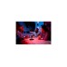 Philips Hue White & Color Ambiance Go tragbare Tischleuchte(schwarz)