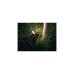Philips Hue White & Color Ambiance Lily Gartenspot, LED-Leuchte(schwarz, 3 Stück, Basis-Set)