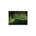 Philips Hue White & Color Ambiance Outdoor Lightstrip 5 Meter, LED-Streifen