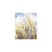 Ravensburger CreArt Gallery Wall Set - Nature, Malen