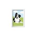 Ravensburger Malen nach Zahlen - Border Collie Welpe