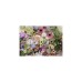 Ravensburger Puzzle Prachtvolle Blumenliebe(1000 Teile)