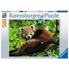 Ravensburger Puzzle Süßer roter Panda(500 Teile)