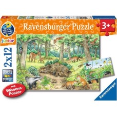 Ravensburger Wieso? Weshalb? Warum? Tiere im Wald und auf der Wiese, Puzzle(2x 12 Teile, mit Wissensposter)