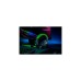 Razer BlackShark V2 SE, Gaming-Headset(schwarz/grün)