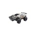 Revell RC Car 