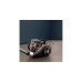 Rowenta Compact Power XXL Animal RO4B50, Bodenstaubsauger(grau/schwarz)