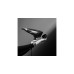 Rowenta Studio Dry CV 581L, Haartrockner(schwarz)