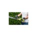 Ryobi ONE+ Akku-Heckenschere RY18HT55A-0, 18Volt(grün/schwarz, ohne Akku und Ladegerät)