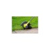 Ryobi ONE+ Akku-Kantenschneider RY18EGA-0, 18Volt, Rasentrimmer(grün/schwarz, ohne Akku und Ladegerät)