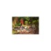 Ryobi ONE+ Akku-Laubgebläse RBL1820S40F, 18Volt(grün/schwarz, ohne Akku und Ladegerät)