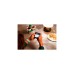 SAMSUNG Galaxy Z Flip5 256GB, Handy(Lavender, Android 13)